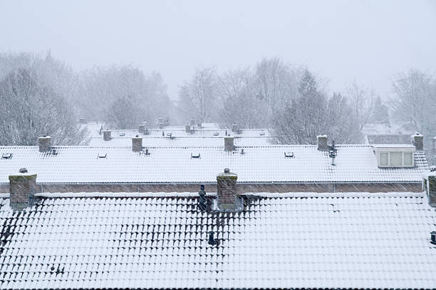 Professioneel dakonderhoud in de winter